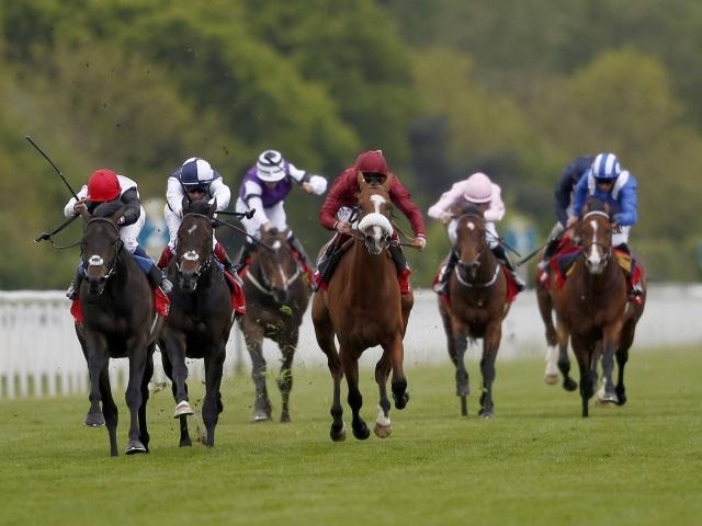Jack Hobbs (second left) is expected to prove too good in the Champion Stakes